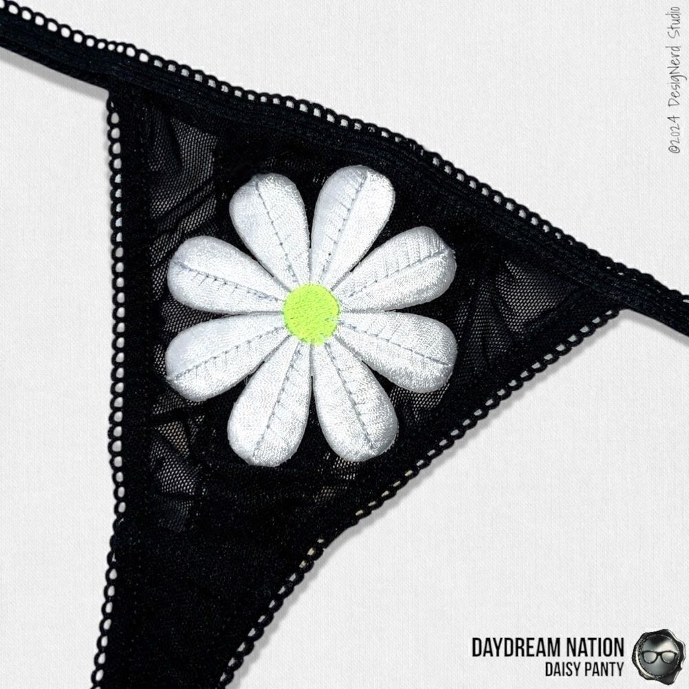 DAYDREAM NATION DAISY BRA & PANTY SET IN BLACK SHEER MESH LINGERIE SIZE MEDIUM - Picture 6 of 13